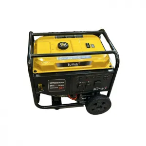 Aluguel Motogerador BFGE 10.000 Plus - Imagem 6